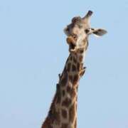 ヒメ日記 2025/08/29 21:30 投稿 あきほ 熟女の風俗最終章 仙台店