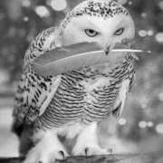 ヒメ日記 2025/09/03 21:37 投稿 あきほ 熟女の風俗最終章 仙台店