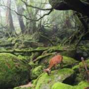 ヒメ日記 2025/11/18 11:58 投稿 あきほ 熟女の風俗最終章 仙台店