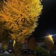 あきほ Thanks for your hard work. 熟女の風俗最終章 仙台店