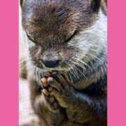 ヒメ日記 2026/01/16 20:06 投稿 あきほ 熟女の風俗最終章 仙台店