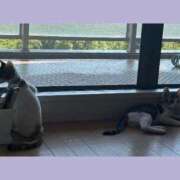 ヒメ日記 2026/02/12 16:39 投稿 あきほ 熟女の風俗最終章 仙台店