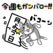 ヒメ日記 2026/06/29 14:44 投稿 あきほ 熟女の風俗最終章 仙台店