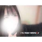 ヒメ日記 2025/01/19 09:29 投稿 猫真 いちごみるく（日本橋）