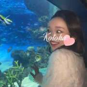 ヒメ日記 2025/01/16 10:50 投稿 冴木ことは やみつきエステ錦糸町店