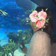 ヒメ日記 2025/03/08 15:20 投稿 冴木ことは やみつきエステ錦糸町店