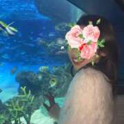 ヒメ日記 2025/03/14 10:50 投稿 冴木ことは やみつきエステ錦糸町店