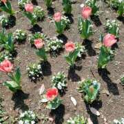 ヒメ日記 2025/08/12 14:20 投稿 冴木ことは やみつきエステ錦糸町店