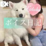 ヒメ日記 2025/09/01 08:50 投稿 冴木ことは やみつきエステ錦糸町店