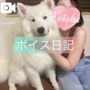 ヒメ日記 2025/09/06 11:00 投稿 冴木ことは やみつきエステ錦糸町店