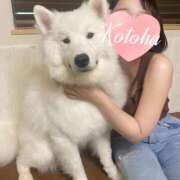 ヒメ日記 2025/09/11 15:20 投稿 冴木ことは やみつきエステ錦糸町店