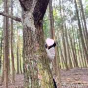 ヒメ日記 2025/10/14 19:36 投稿 冴木ことは やみつきエステ錦糸町店