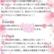 ヒメ日記 2024/08/19 06:20 投稿 いずな 奥様特急新潟店