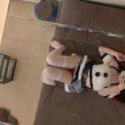 ヒメ日記 2024/12/09 18:03 投稿 まほ 和楽(わらく)