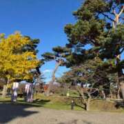 ヒメ日記 2025/11/21 14:42 投稿 まほ 和楽(わらく)