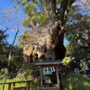 ヒメ日記 2026/01/10 17:41 投稿 まほ 和楽(わらく)