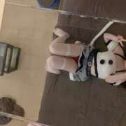 ヒメ日記 2026/03/15 13:20 投稿 まほ 和楽(わらく)