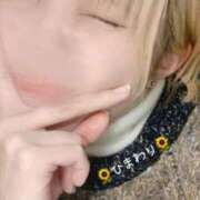 ヒメ日記 2024/12/14 11:20 投稿 ひまわり 大阪はまちゃん日本橋店