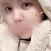 ヒメ日記 2024/12/26 12:10 投稿 ひまわり 大阪はまちゃん日本橋店