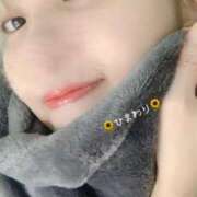 ヒメ日記 2025/01/03 10:30 投稿 ひまわり 大阪はまちゃん日本橋店