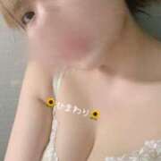 ヒメ日記 2025/01/09 23:37 投稿 ひまわり 大阪はまちゃん日本橋店