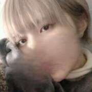 ヒメ日記 2025/02/09 15:00 投稿 ひまわり 大阪はまちゃん日本橋店