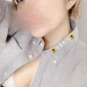 ヒメ日記 2025/03/15 12:30 投稿 ひまわり 大阪はまちゃん日本橋店