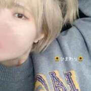 ヒメ日記 2025/03/23 12:20 投稿 ひまわり 大阪はまちゃん日本橋店