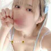 ヒメ日記 2025/04/01 00:00 投稿 ひまわり 大阪はまちゃん日本橋店