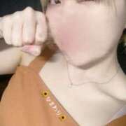 ヒメ日記 2025/04/19 10:34 投稿 ひまわり 大阪はまちゃん日本橋店