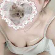 ヒメ日記 2025/07/21 11:40 投稿 ひまわり 大阪はまちゃん日本橋店