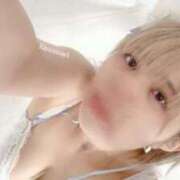 ヒメ日記 2025/08/02 12:30 投稿 ひまわり 大阪はまちゃん日本橋店