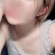 ヒメ日記 2025/08/13 10:20 投稿 ひまわり 大阪はまちゃん日本橋店