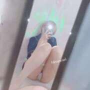 ヒメ日記 2025/11/05 09:20 投稿 ひまわり 大阪はまちゃん日本橋店