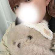 ヒメ日記 2026/02/19 11:53 投稿 ひまわり 大阪はまちゃん日本橋店