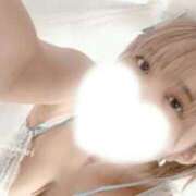 ヒメ日記 2026/02/22 13:00 投稿 ひまわり 大阪はまちゃん日本橋店