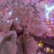 ヒメ日記 2026/02/24 13:10 投稿 ひまわり 大阪はまちゃん日本橋店