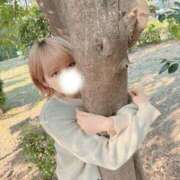 ヒメ日記 2026/03/03 10:50 投稿 ひまわり 大阪はまちゃん日本橋店