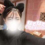 ヒメ日記 2025/04/13 08:52 投稿 あいか 素人美少女専門　新横浜アンジェリーク（アンジェリークグループ）