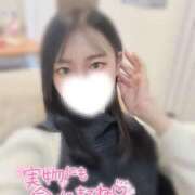 ヒメ日記 2026/03/15 10:45 投稿 あいか 素人美少女専門　新横浜アンジェリーク（アンジェリークグループ）