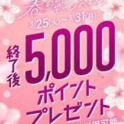 ヒメ日記 2025/03/27 23:30 投稿 なつ 即トク奥さん