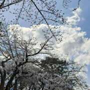 ヒメ日記 2025/04/07 16:34 投稿 なつ 即トク奥さん