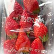 ヒメ日記 2025/05/06 15:40 投稿 なつ 即トク奥さん