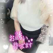 ヒメ日記 2025/11/12 10:20 投稿 なつ 即トク奥さん