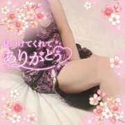 ヒメ日記 2026/04/07 14:40 投稿 なつ 即トク奥さん