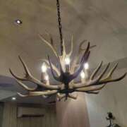 ヒメ日記 2026/04/14 16:44 投稿 なつ 即トク奥さん