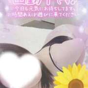 ヒメ日記 2026/08/06 10:31 投稿 なつ 即トク奥さん