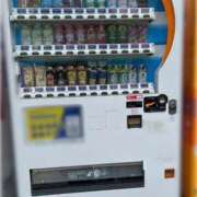 ヒメ日記 2025/08/05 09:37 投稿 はな奥様 なすがママされるがママ