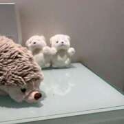 ヒメ日記 2025/09/23 18:18 投稿 はな奥様 なすがママされるがママ