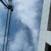 ヒメ日記 2025/10/06 09:46 投稿 はな奥様 なすがママされるがママ